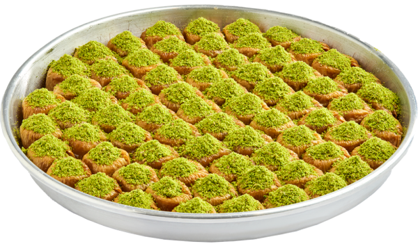 Fıstıklı Bülbül Yuvası - 