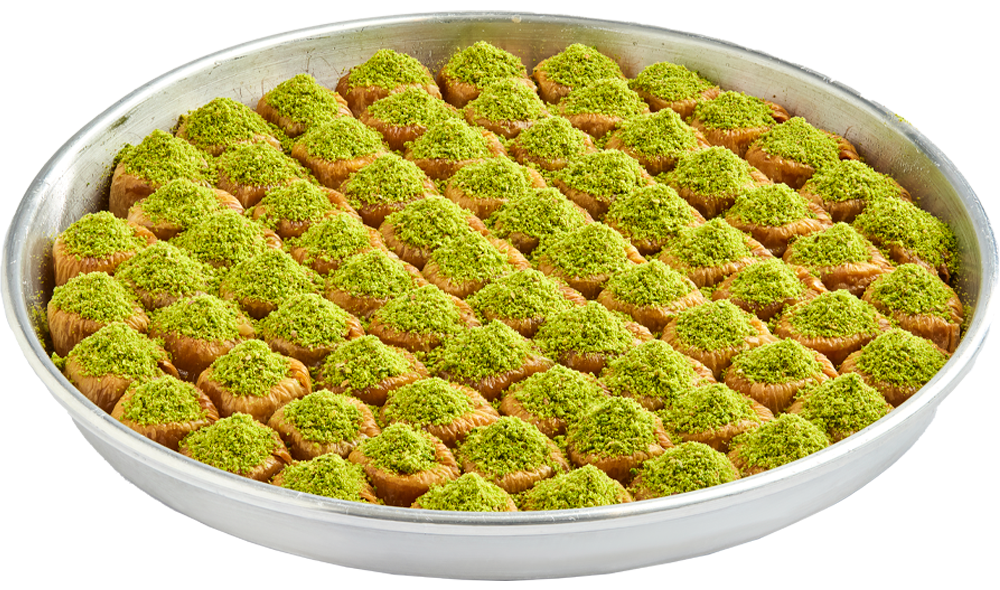 Fıstıklı Bülbül Yuvası - 1